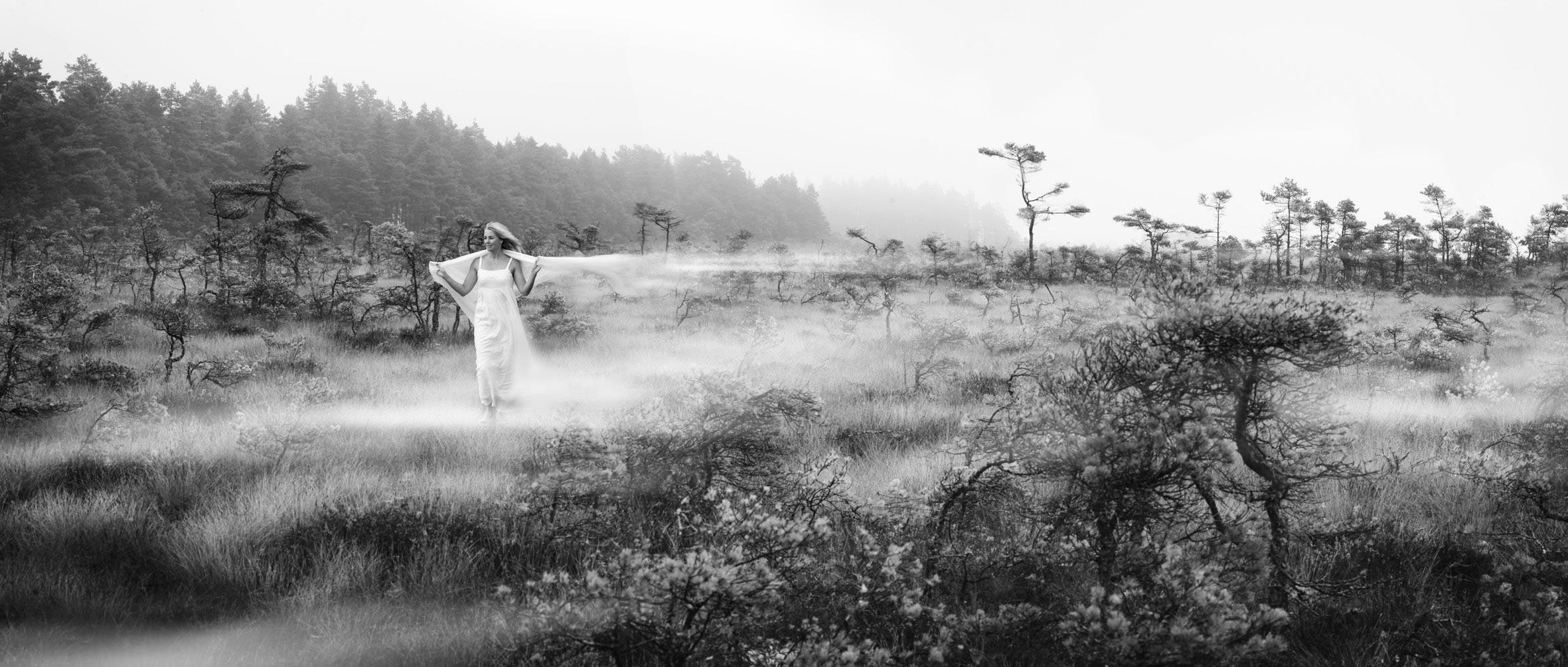 Värnamo of Sweden – Bizkit stiger in som ny e-handelspartner