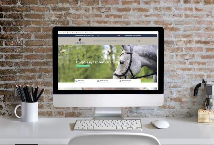 10 veckor på Bizkit – var tog tiden vägen?