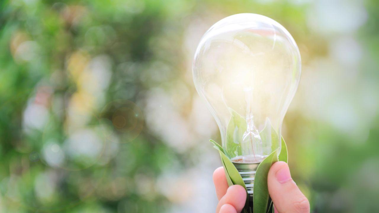 Glödlampa i en grön bild